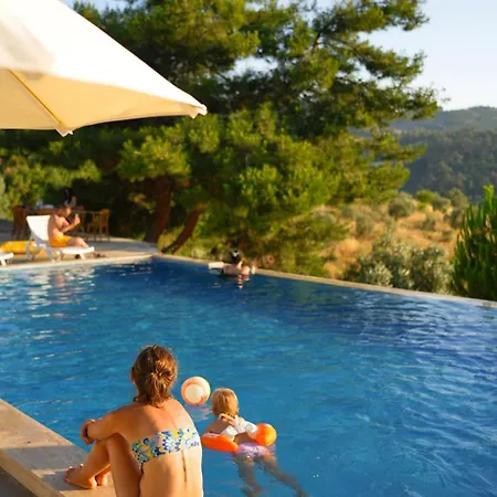 Sirince Citak Konaklari - Oezel Girisli B&B 셀주크